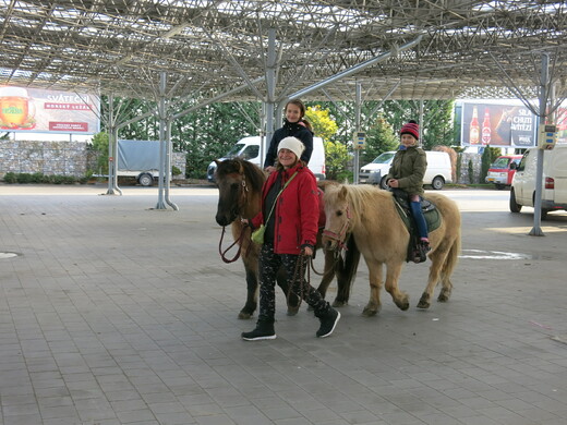 IMG_8122.JPG