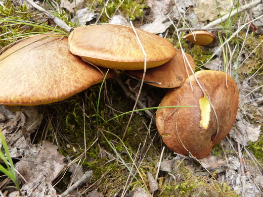 P1380354.JPG