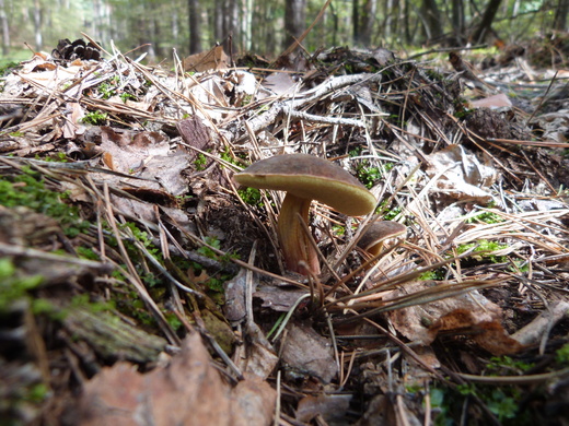 P1380404.JPG