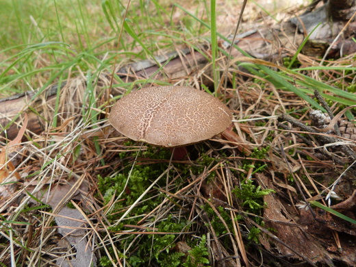 P1380416.JPG