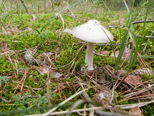 P1380422.JPG