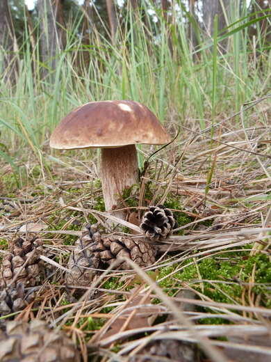 P1380459.JPG