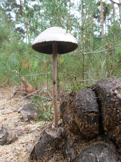 P1380485.JPG