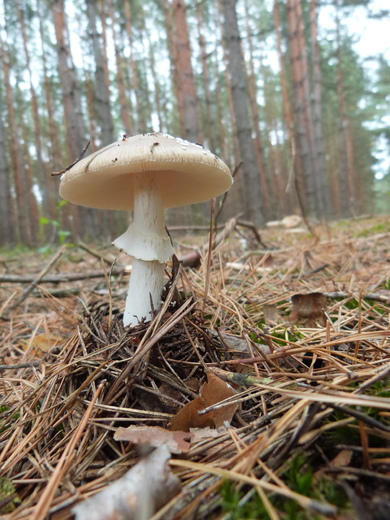 P1380518.JPG