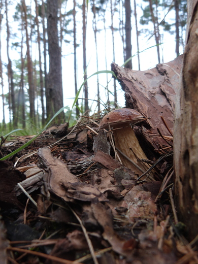 P1380553.JPG