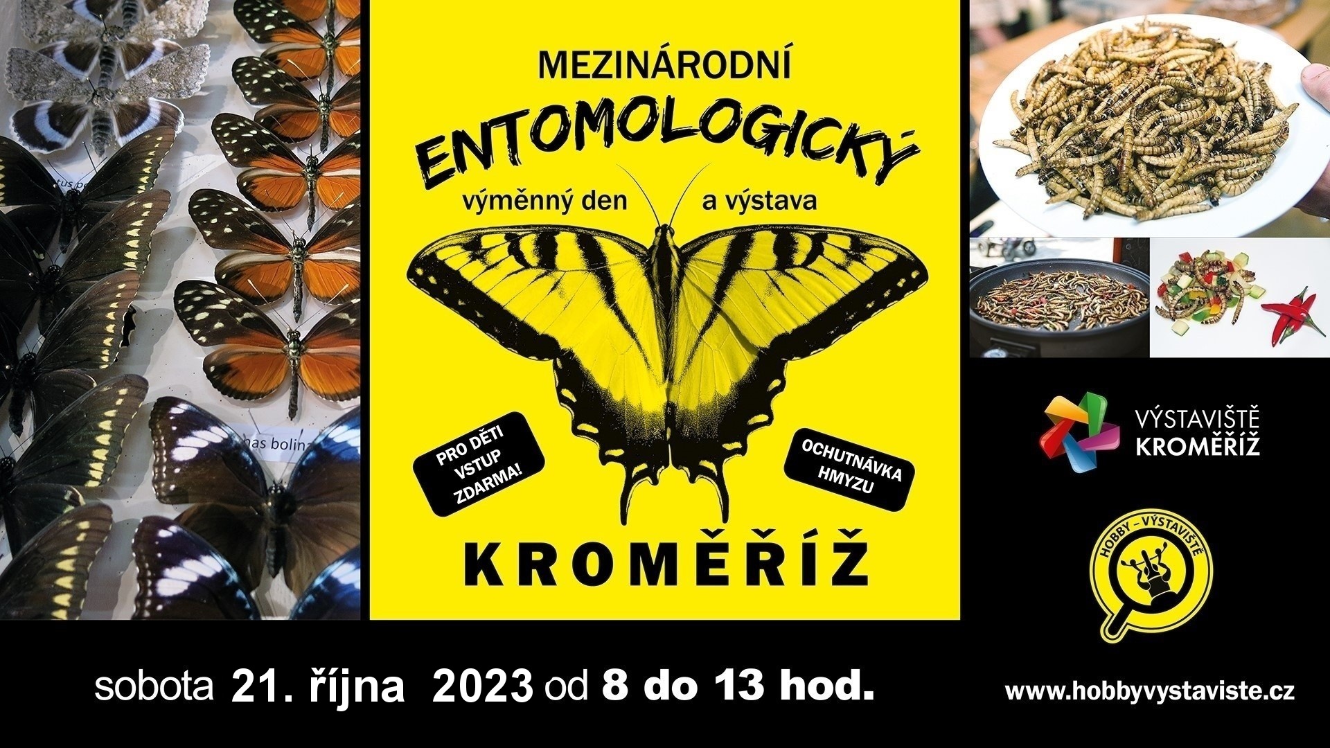 20210809_entomo MHD_FHD.jpg