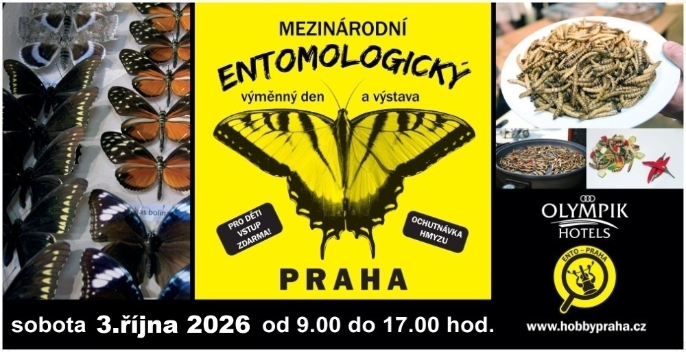 Billboard LÉTAJÍCÍ DRAHOKAMY 5100 x 2400 mm 1 ku 2.jpg