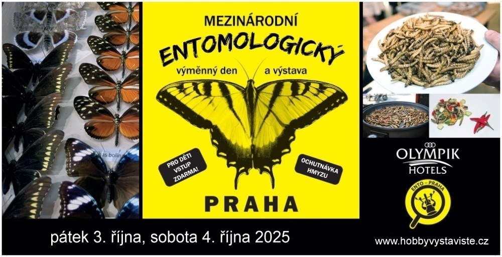 rukodělné trhy